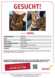 Maral wird vermisst