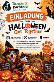 Süßes oder Saures? Bei uns gibt’s Halloween mit Herz!